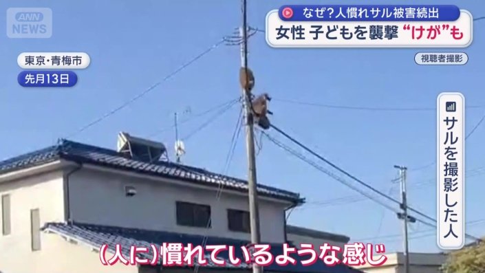 撮影した人が覚えた違和感とは…