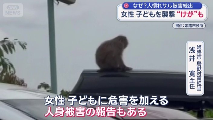 「女性、子どもに危害を加える」