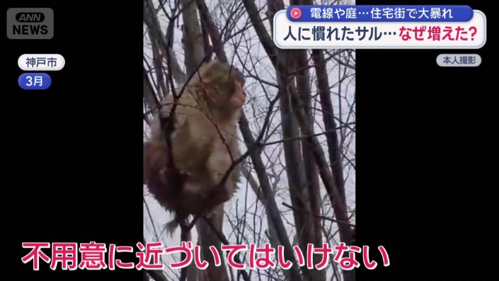 「不用意に近づいてはいけない」