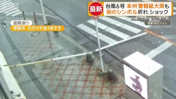 突然、配管のようなものが道路上に