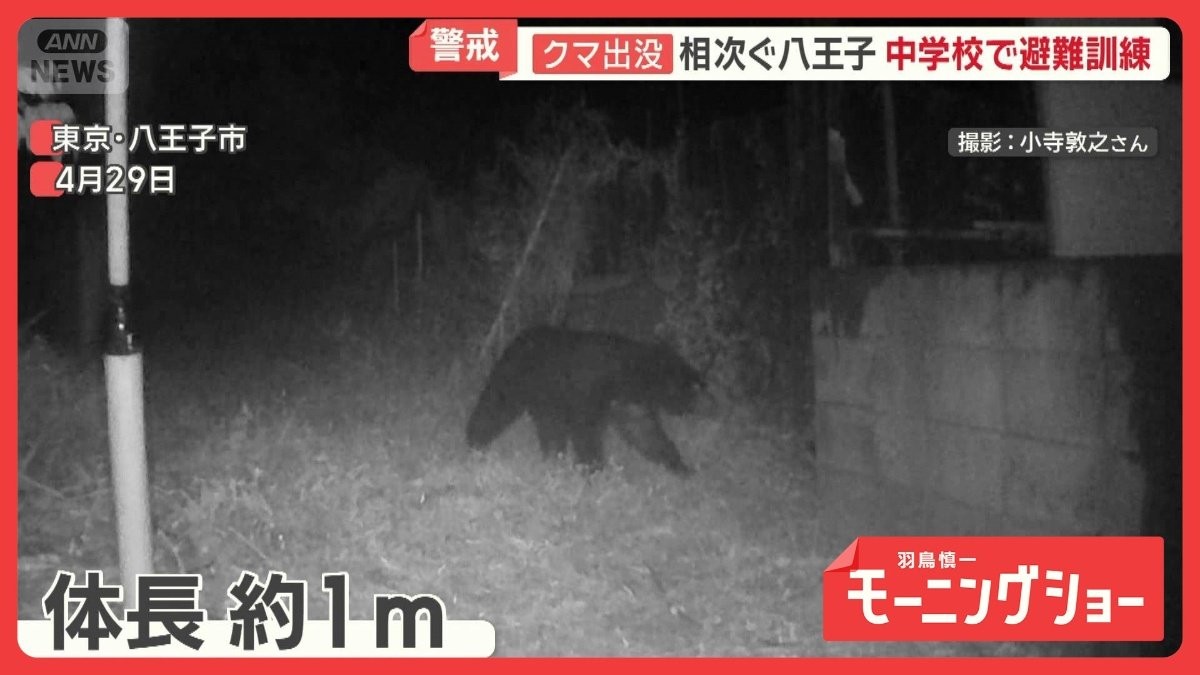 多摩川河川敷に“大型獣”の痕跡　東京のクマ「分布拡大中」　観光地に影響も