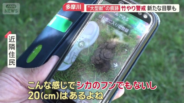 別の大型動物のものとみられるフンを発見