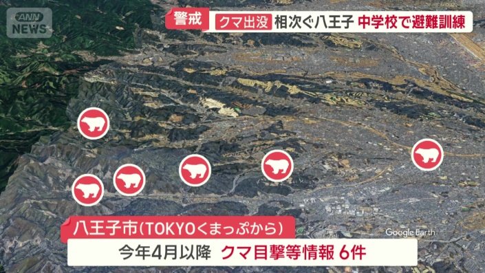 クマの目撃情報