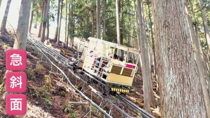 山岳モノレール