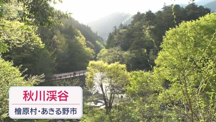 秋川渓谷