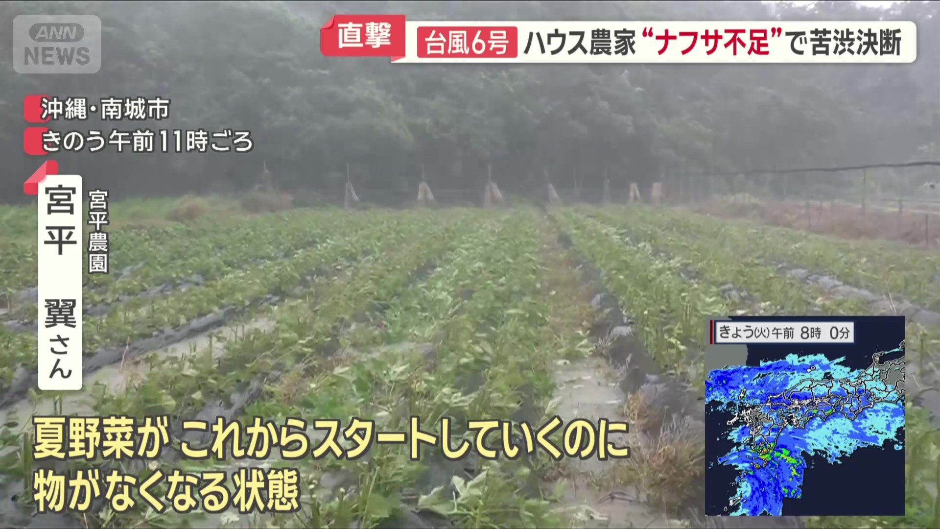 「沖縄から野菜がいったん消える」