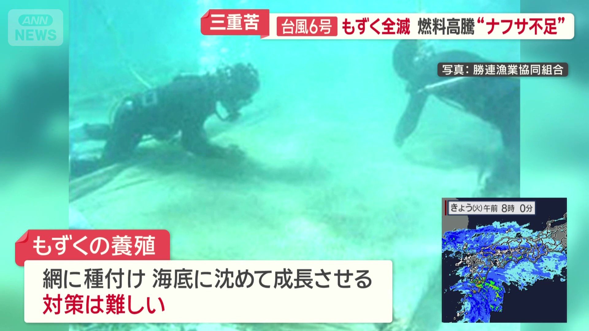 もずくの生産量全国一の沖縄県