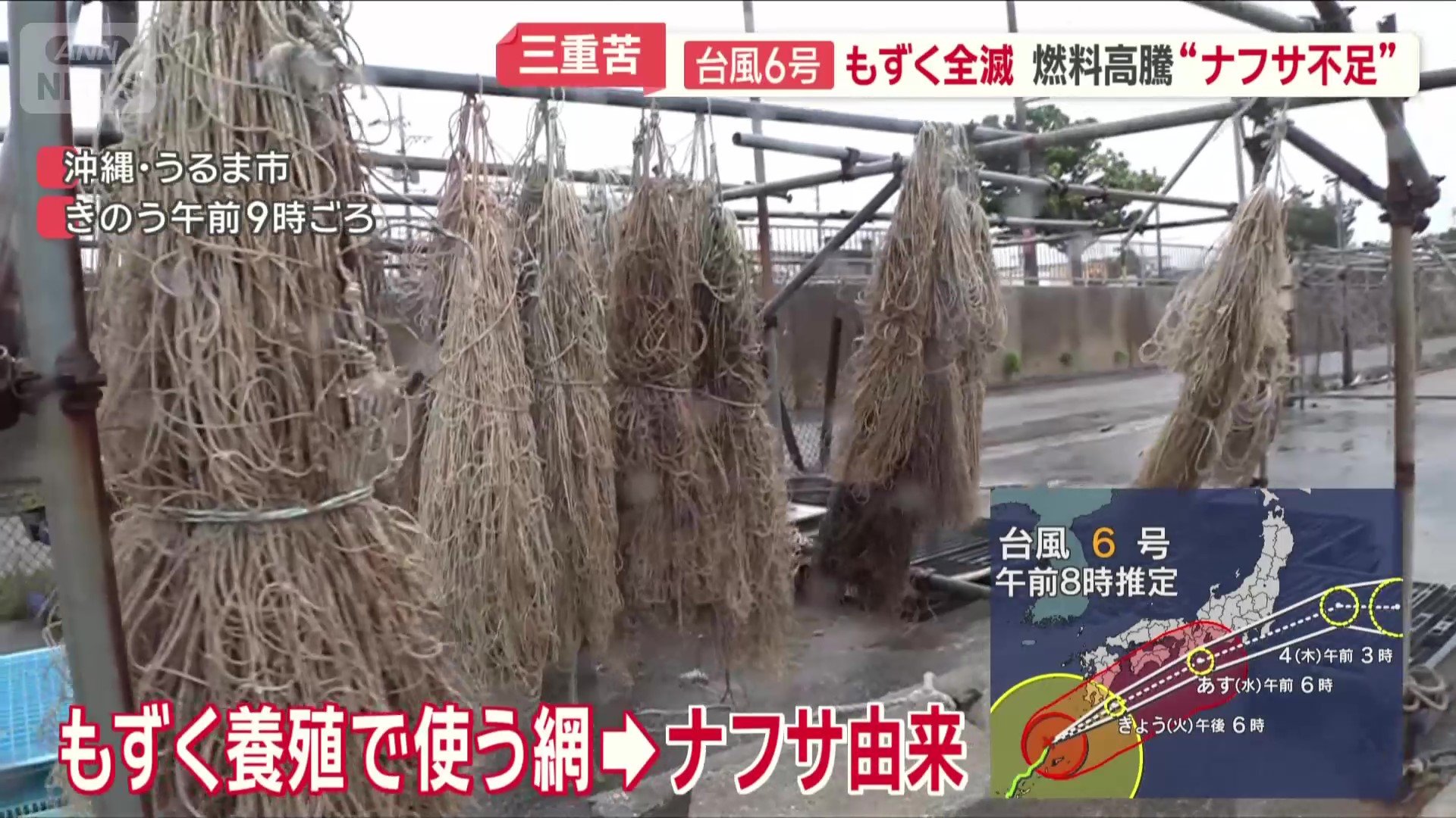 網も高騰