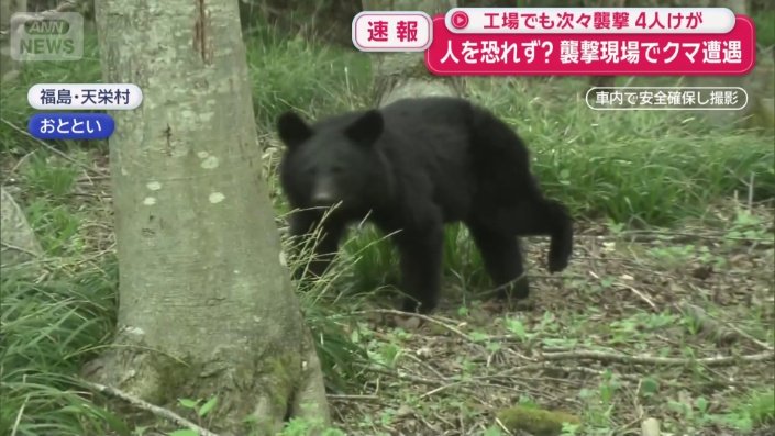 先月31日
