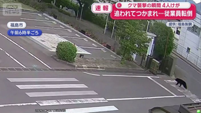 クマ