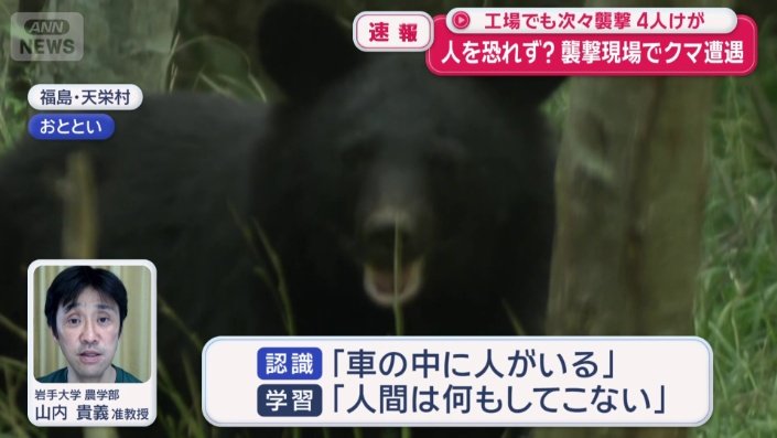 「人間は何もしてこない」と学習している
