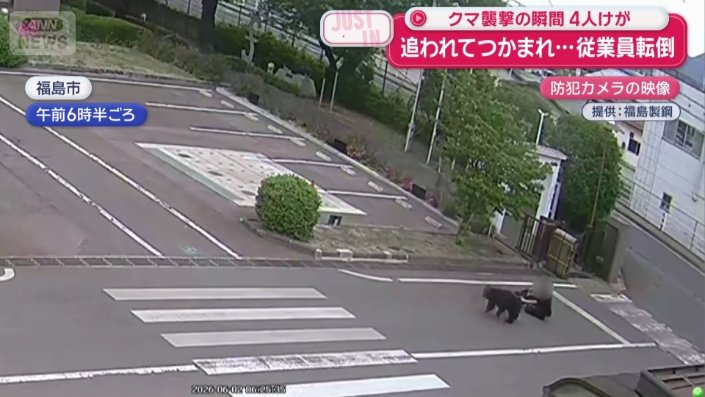 クマが背中に手をかけ男性転倒