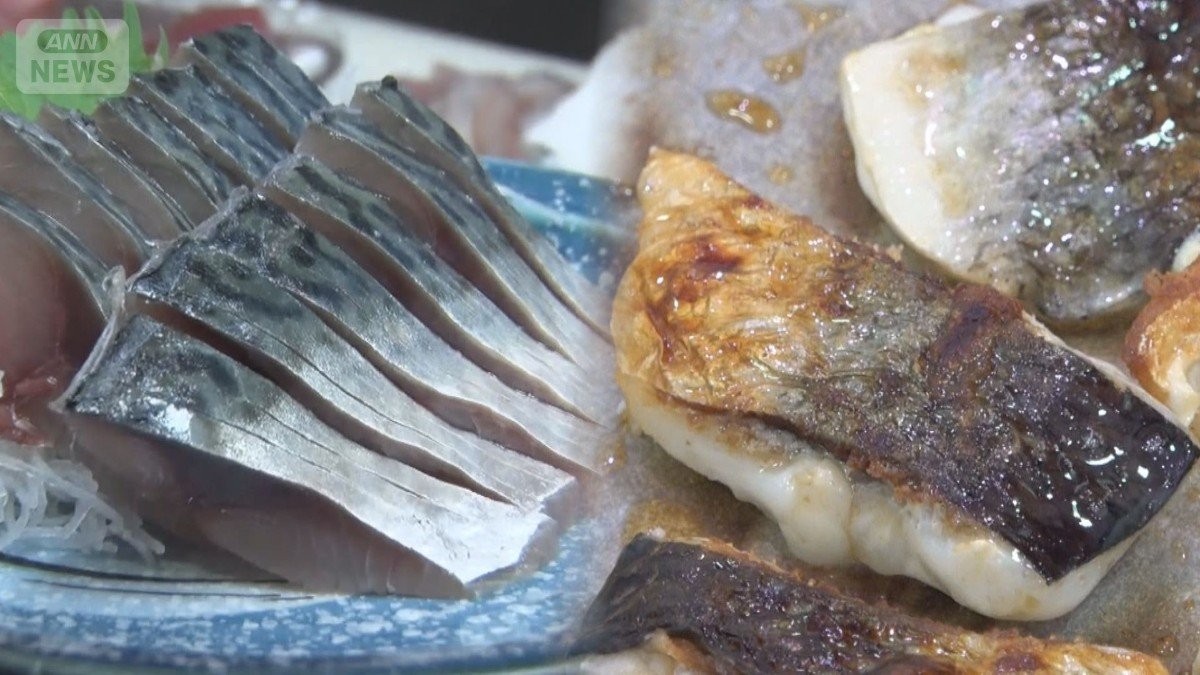 「サバショック」国産も輸入もピンチなぜ？“アノ魚”が食卓の救世主に！？