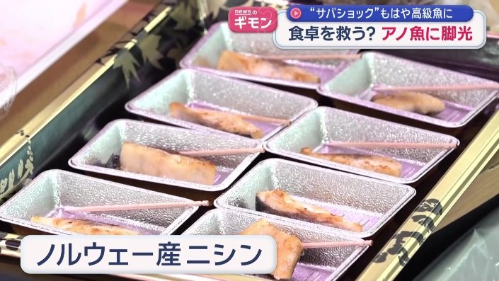 ノルウェー産ニシン
