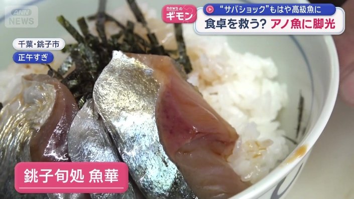 千葉県の銚子港で水揚げされた新鮮なサバ