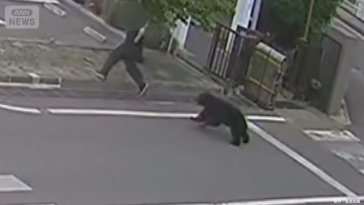 住宅街にクマ出没　人を追いかけ回し…建物内に居座りか　男女4人がけが