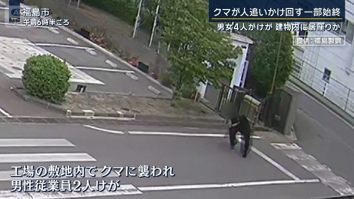 クマに襲われる男性