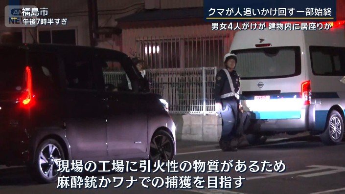 麻酔銃か罠での捕獲を目指す