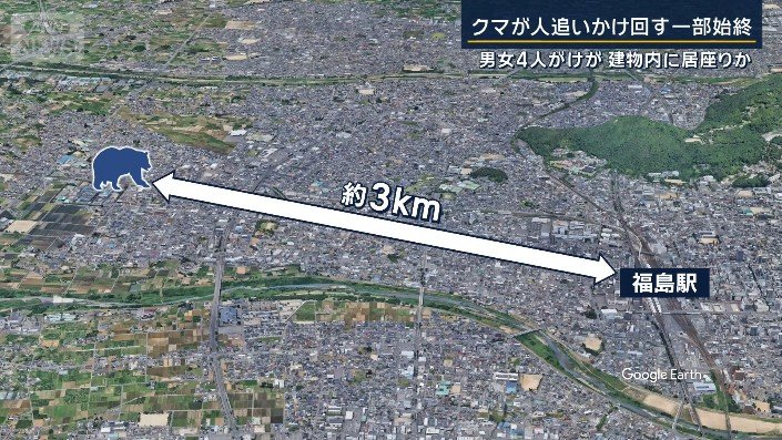 クマ出現場所