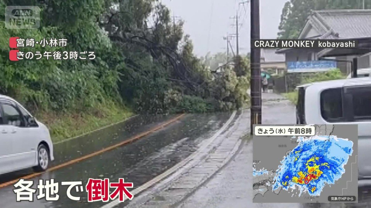 宮崎県内で相次いだ倒木