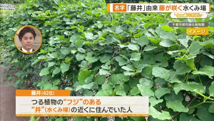 「藤井」の由来