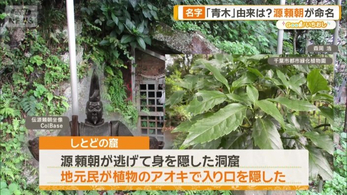 しとどの窟
