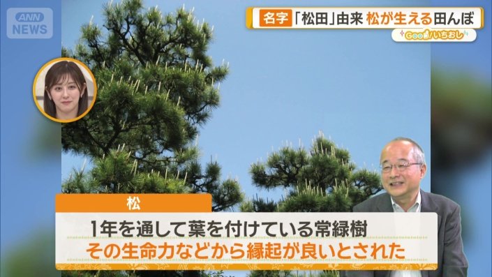 縁起がいい名字