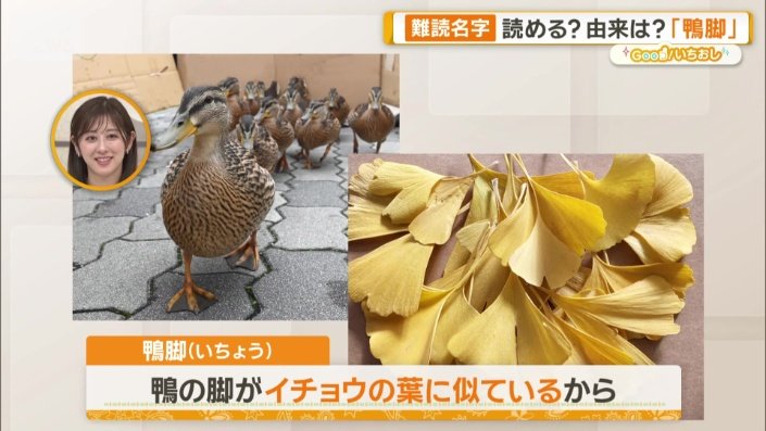 正解は「いちょう」