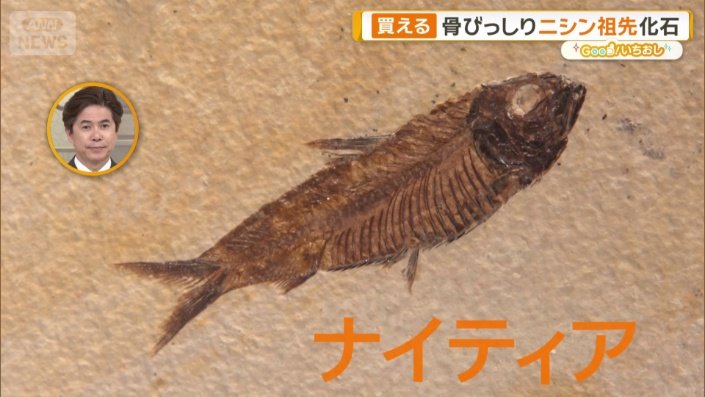 ナイティア