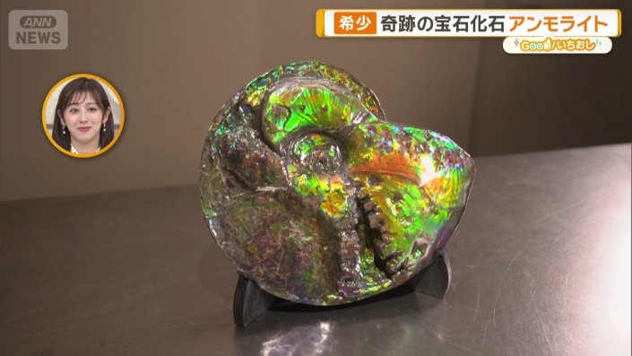 画像まとめ】新宿に「買える化石博物館」登場 ティラノサウルスや