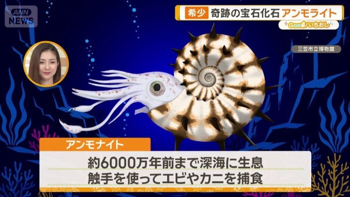 新宿に「買える化石博物館」登場 ティラノサウルスやアンモナイト…本物