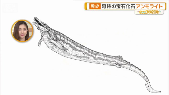 バシロサウルス