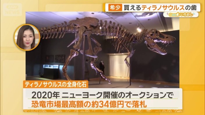 新宿に「買える化石博物館」登場 ティラノサウルスやアンモナイト…本物