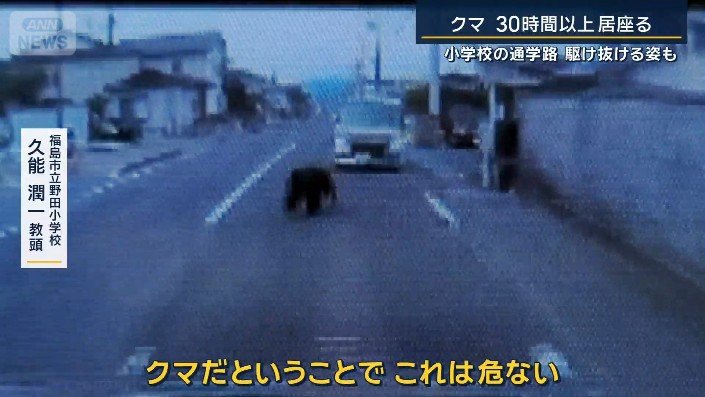 クマ