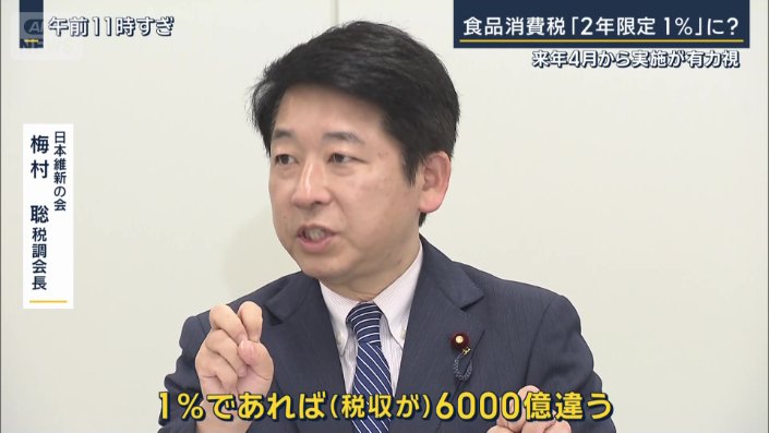 日本維新の会 梅村聡税調会長
