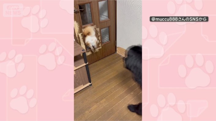 よし！行くぞー