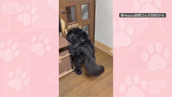 あれ？通れない