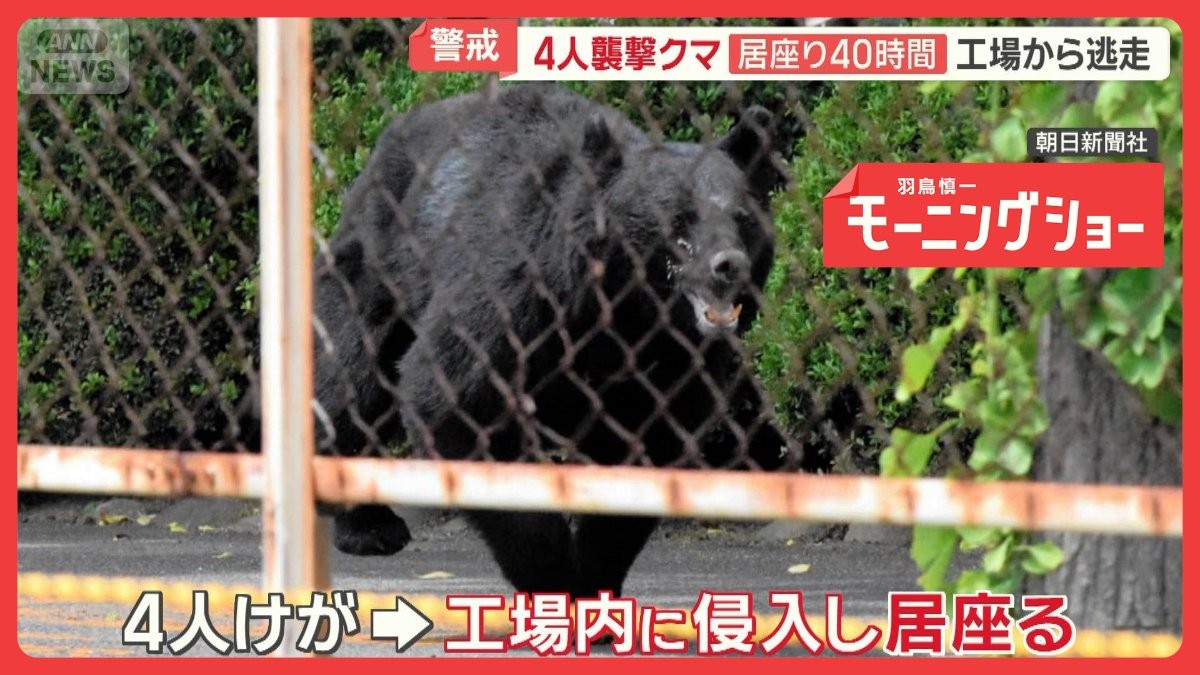 4人襲撃クマ 40時間居座った工場から逃走 市内にいる可能性…福島市は