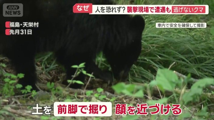 食べるものを探している?