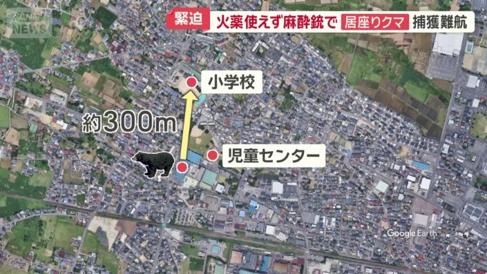 工場の近くには…