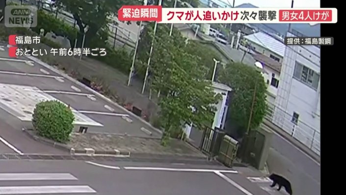 猛スピードで突進してくるクマ