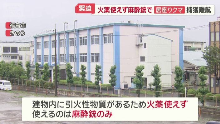 ハンターが使えるのは麻酔銃のみ