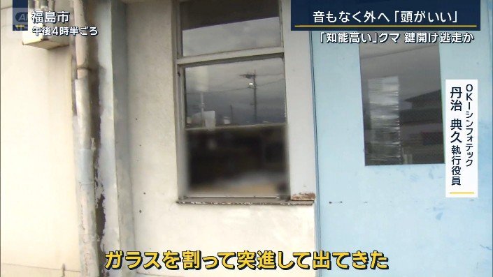 クマが居座った現場