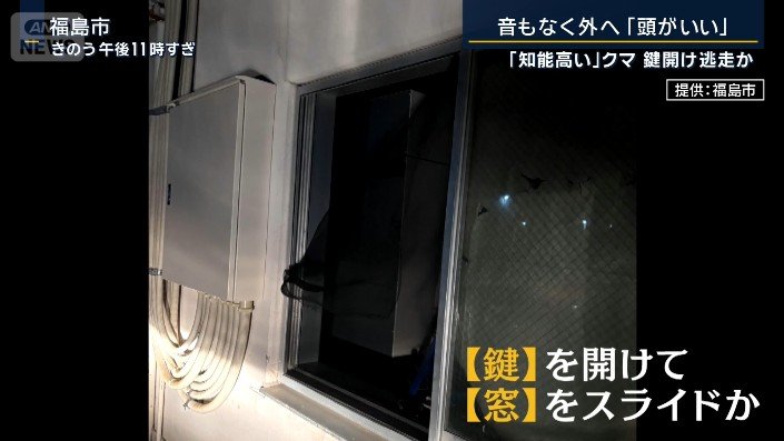 窓