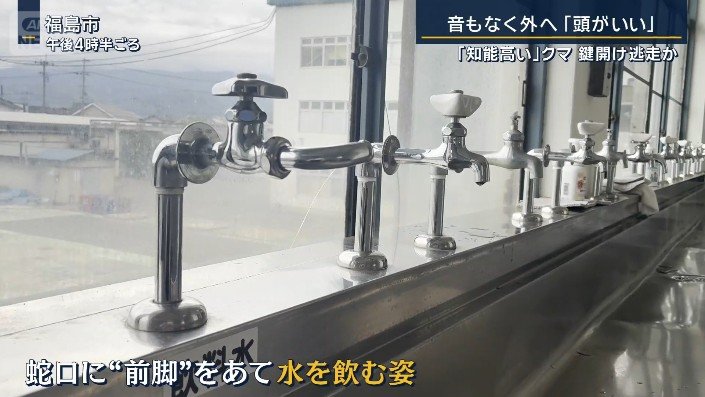 蛇口
