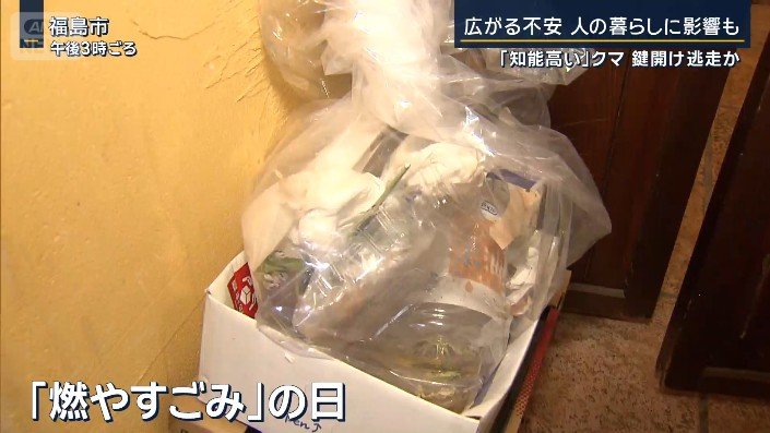 燃やすごみの日