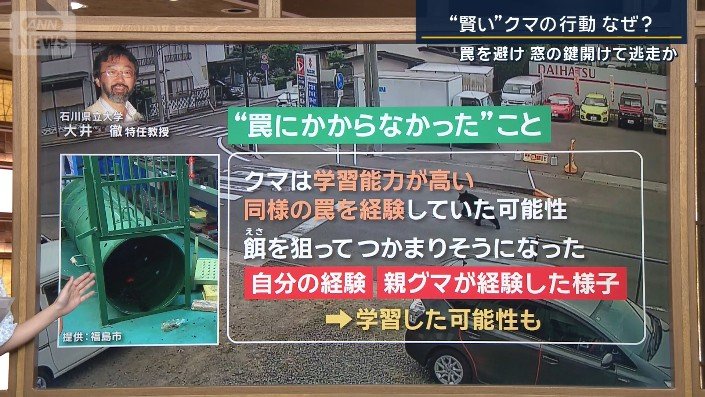 大井徹特任教授