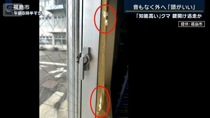 爪の跡