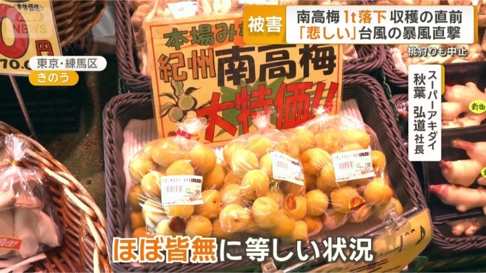 和歌山産の梅