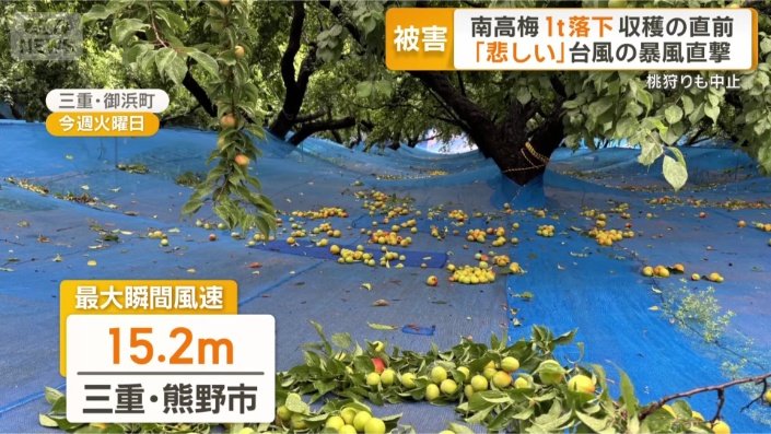 最大瞬間風速15.2メートルを観測